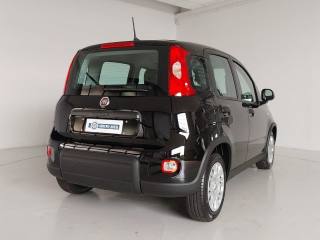 FIAT Panda usata, con Controllo elettronico della corsia