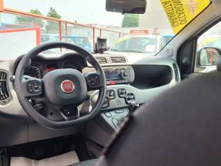 FIAT Panda Cross usata, con ESP
