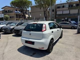 FIAT Punto Evo usata, con Airbag Passeggero
