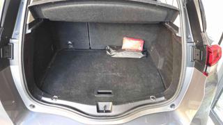 RENAULT Scenic usata, con Cruise Control