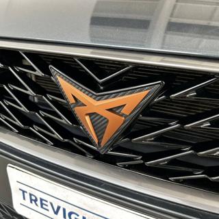 CUPRA Leon usata, con Autoradio digitale