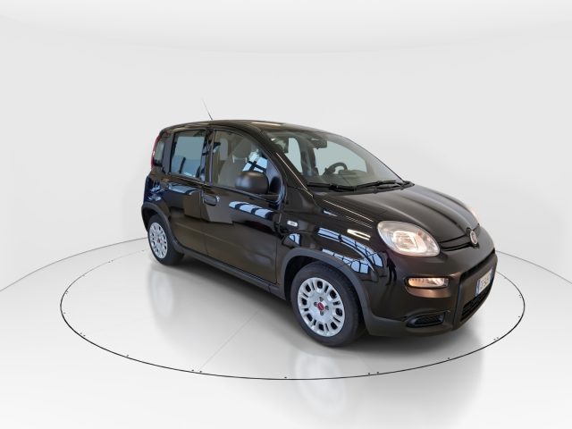 FIAT Panda usata, con Antifurto