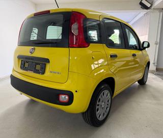 FIAT Panda usata, con Airbag Passeggero