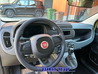 FIAT Panda usata, con Servosterzo