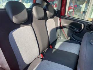 FIAT Panda usata, con Volante multifunzione