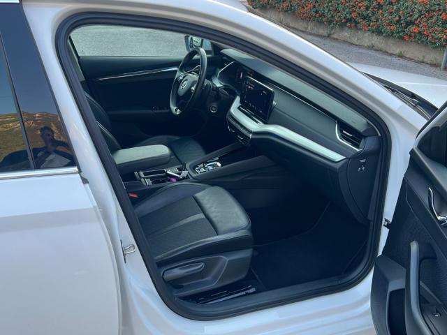 SKODA Octavia usata, con Fendinebbia