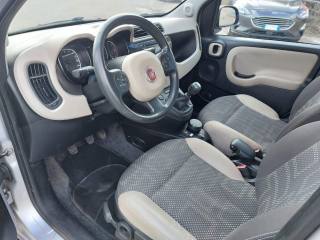FIAT Panda usata 8