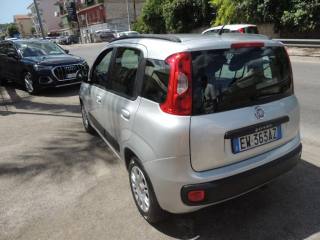 FIAT Panda usata, con Servosterzo
