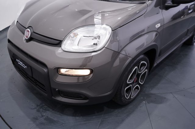 FIAT New Panda usata 23