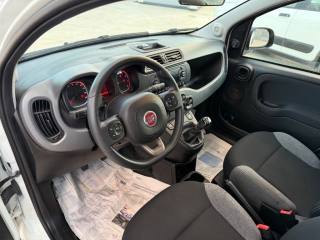 FIAT Panda usata, con Airbag testa