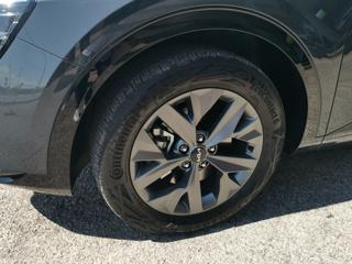 KIA Sportage usata, con Cronologia tagliandi