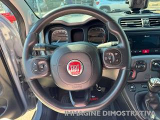 FIAT Panda usata, con Cronologia tagliandi