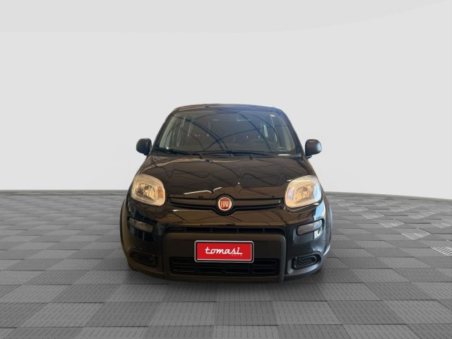 FIAT Panda usata 3