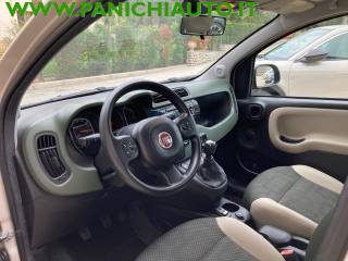 FIAT Panda usata, con Servosterzo