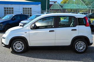 FIAT Panda usata, con Climatizzatore