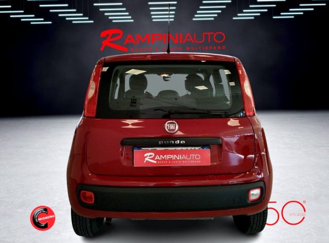 FIAT Panda usata 8
