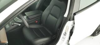 TESLA Model 3 usata 63