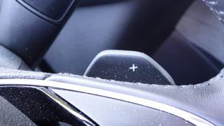 SKODA Kodiaq usata 96