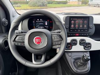 FIAT Panda Cross usata, con Fendinebbia