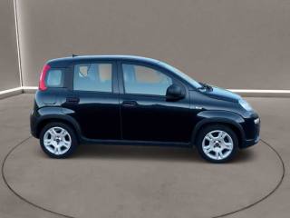 FIAT Panda usata, con Antifurto