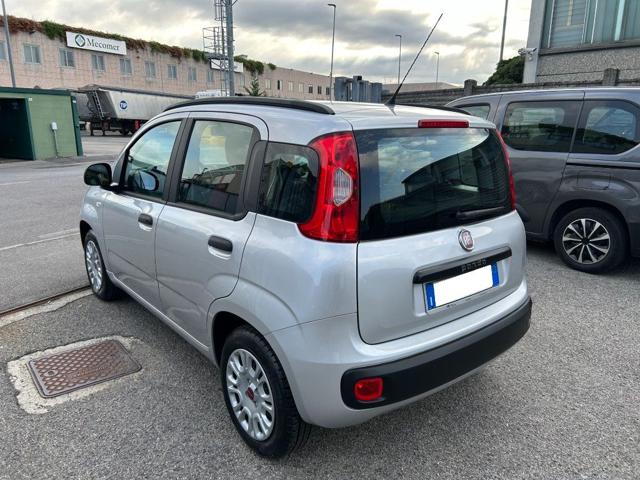 FIAT Panda usata, con Airbag Passeggero