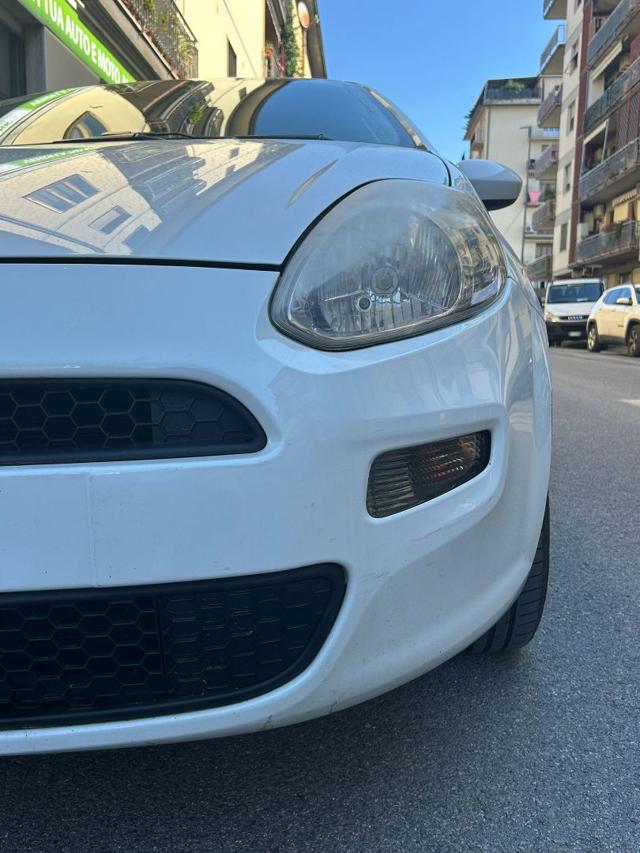 FIAT Punto usata 13