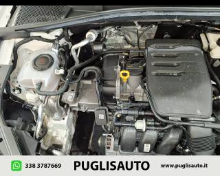 SKODA Fabia usata 22