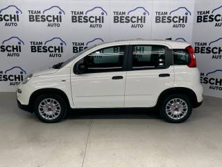 FIAT Panda usata, con Airbag Passeggero
