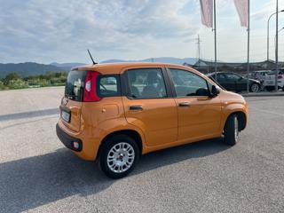 FIAT Panda usata, con Alzacristalli elettrici