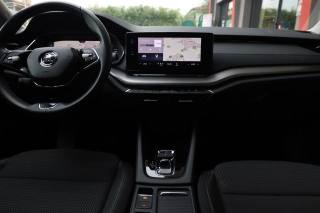 SKODA Octavia usata, con Leve al volante