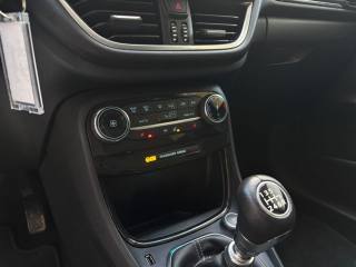 FORD Puma usata, con Fendinebbia