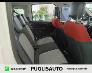 FIAT Panda usata 12