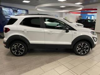 FORD EcoSport usata, con Interni in pelle