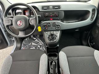 FIAT Panda usata, con Immobilizzatore elettronico