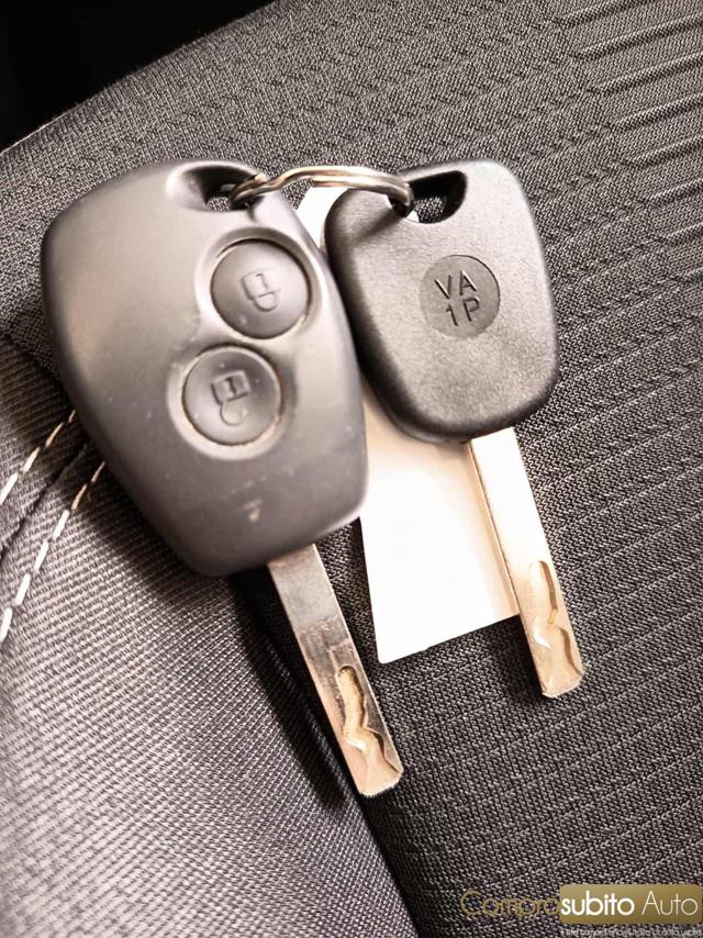 RENAULT Clio usata 19