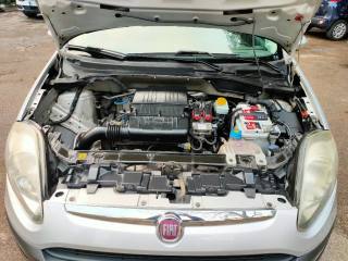 FIAT Punto Evo usata 16