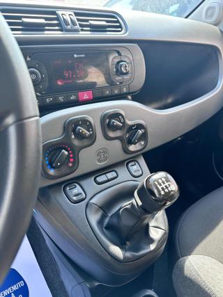 FIAT Panda usata, con Controllo trazione