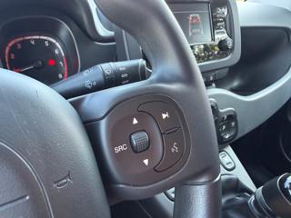 FIAT Panda usata 31