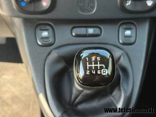 FIAT Panda usata 15