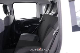 FIAT New Panda usata 21