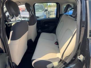 FIAT Panda usata, con Controllo automatico clima