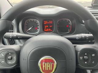 FIAT Panda usata 19