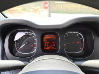 FIAT Panda usata 12