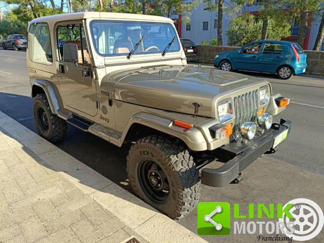 JEEP Wrangler usata, con Fendinebbia
