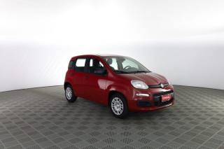 FIAT Panda usata 1