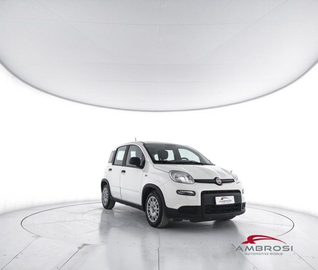 FIAT Panda usata 1