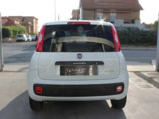 FIAT Panda usata, con Alzacristalli elettrici