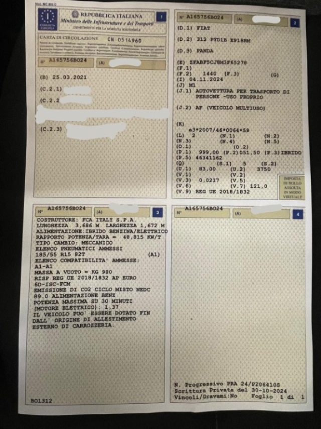 FIAT Panda usata, con Controllo trazione