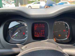 FIAT Panda usata 13