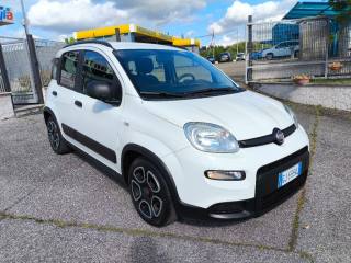FIAT Panda usata 2